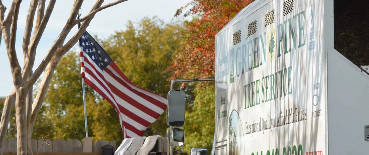Green Pine Tree Services arborist portrait